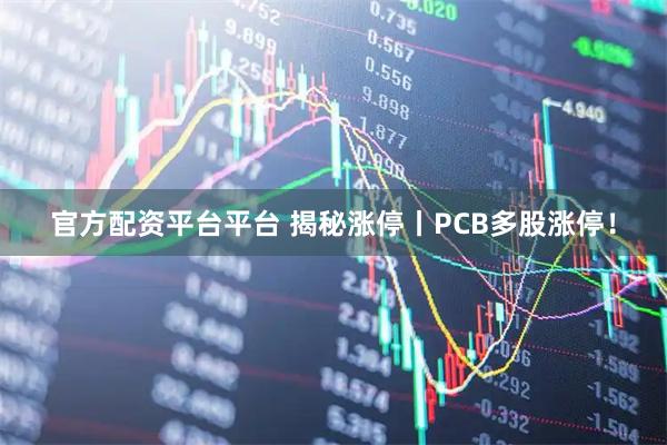 官方配资平台平台 揭秘涨停丨PCB多股涨停！