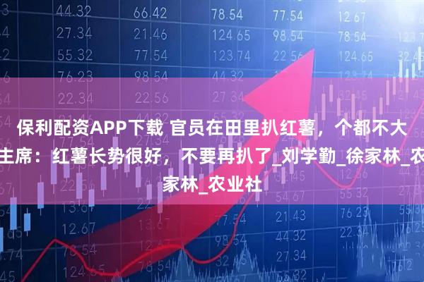 保利配资APP下载 官员在田里扒红薯，个都不大，毛主席：红薯长势很好，不要再扒了_刘学勤_徐家林_农业社