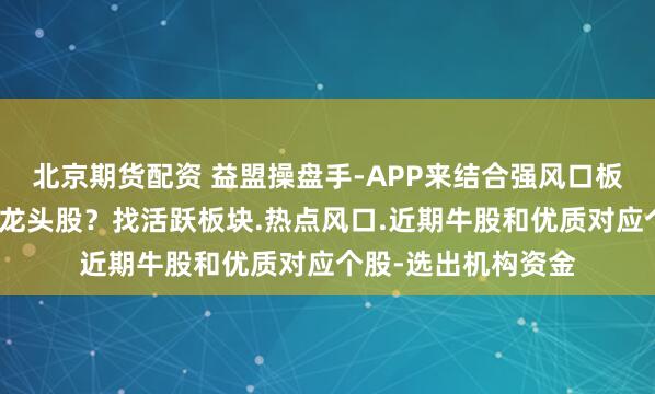 北京期货配资 益盟操盘手-APP来结合强风口板块找到相对的行业龙头股？找活跃板块.热点风口.近期牛股和优质对应个股-选出机构资金