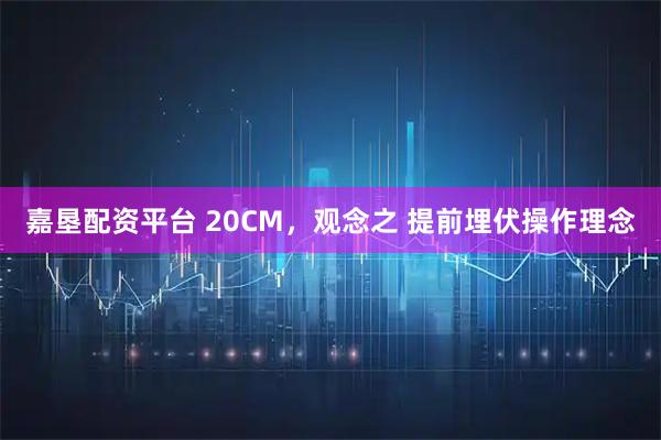 嘉垦配资平台 20CM，观念之 提前埋伏操作理念